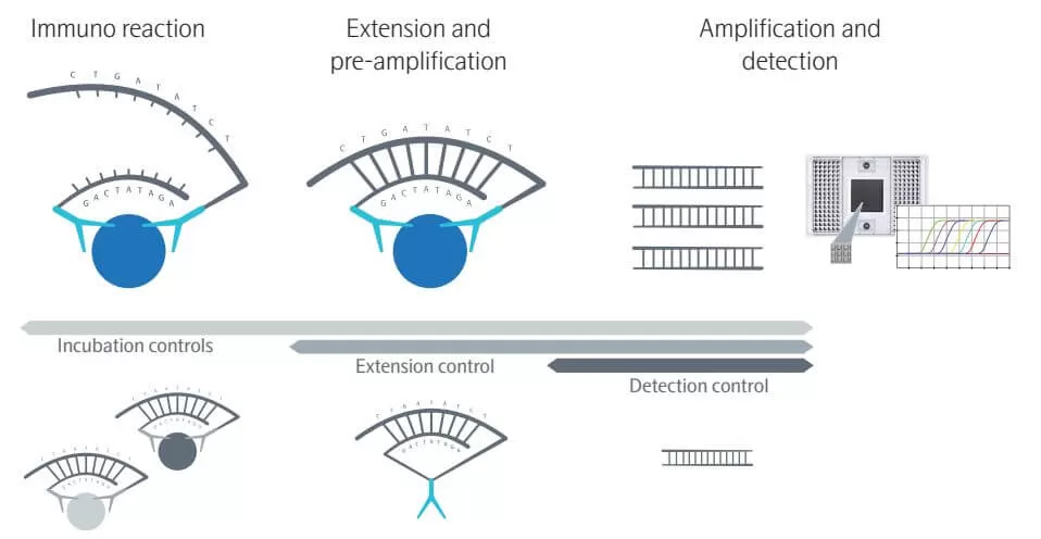 Principle of PEA technology